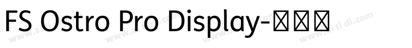 FS Ostro Pro Display字体转换